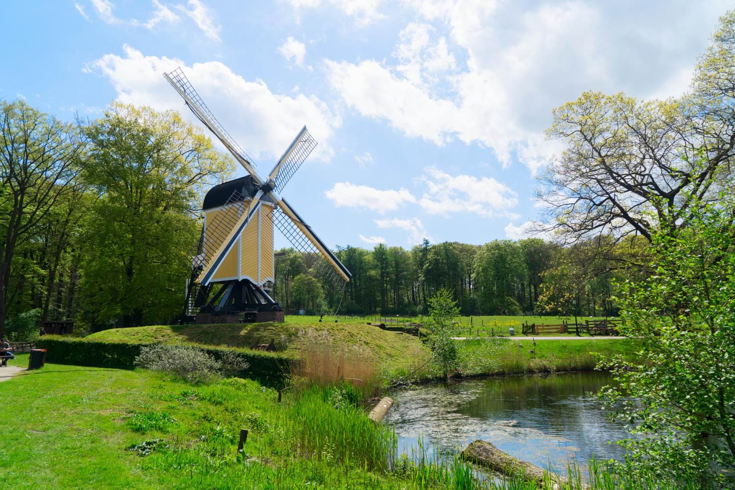 busy z polski do holandii